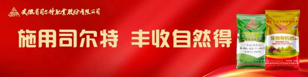 司尔特最新收购消息揭秘，小巷中的隐藏宝藏浮出水面