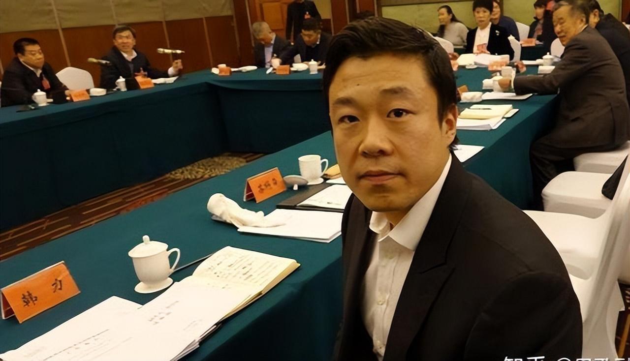 山东钢铁股票最新动态，深度分析与观点阐述