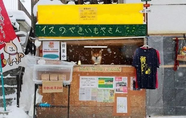 探索日本隐藏小巷的神秘小店，最新味蕾冒险之旅开启