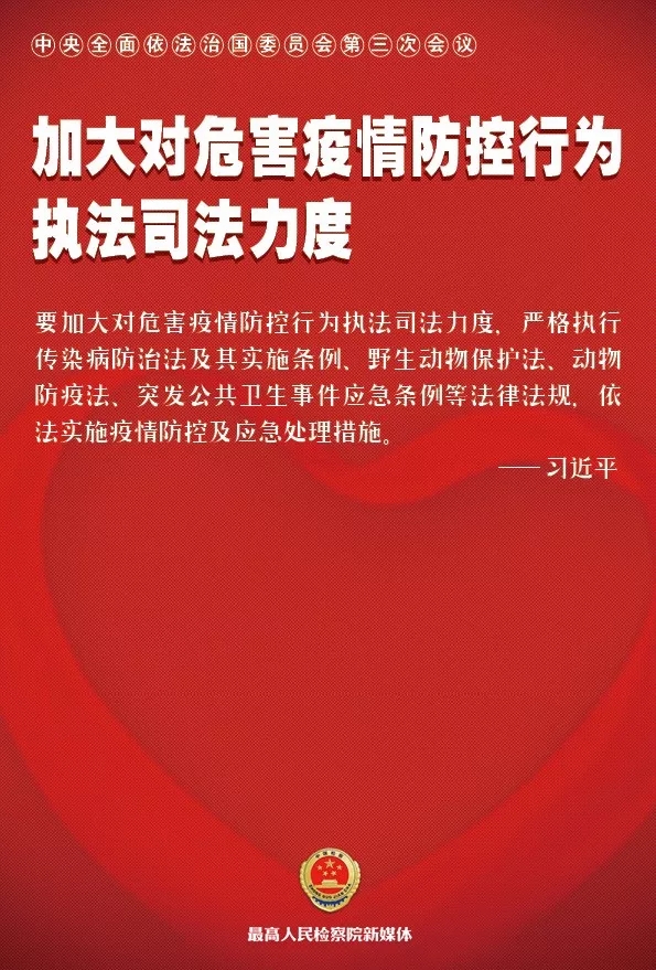 疫情防控最新进展与时代特殊篇章，进展与影响概述