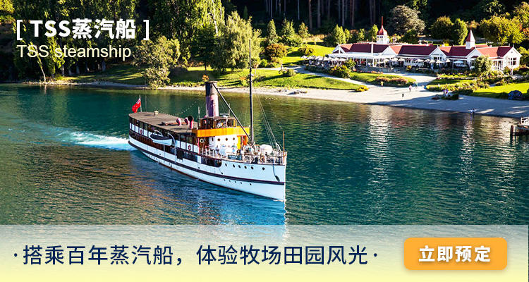 与自然美景的亲密之旅,追寻最新脚步,探寻内心平和节奏