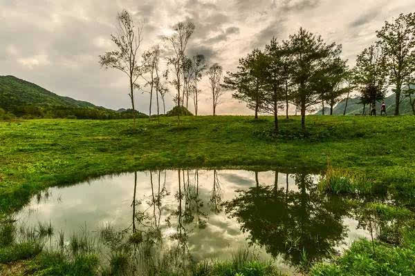 与自然美景的亲密之旅,追寻最新脚步,探寻内心平和节奏