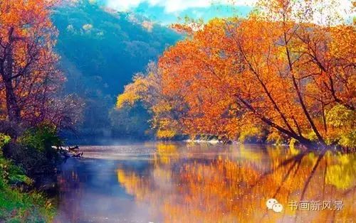 最新图片分享,自然美景探索之旅,寻找内心的平和与喜悦