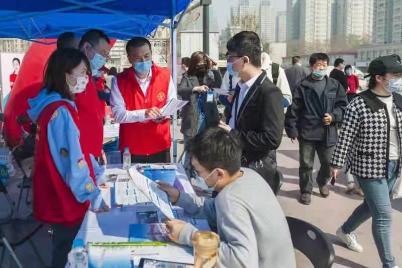 郑州最新招聘，热门职业发展与机遇等你来探索
