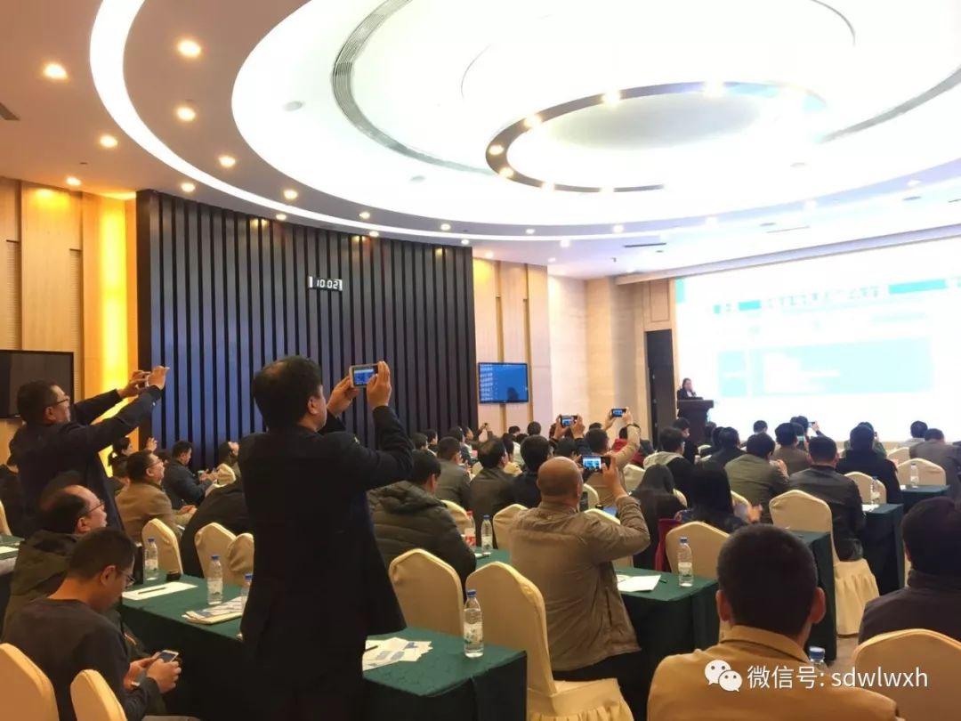最新电影网站，文化现象的多维解读与探讨