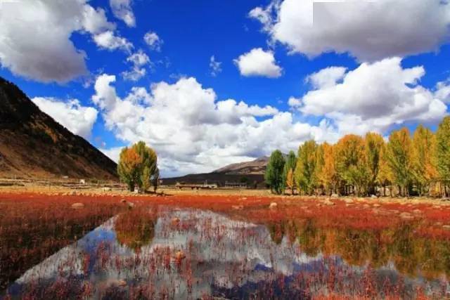 探索自然美景,追寻内心平和——最新旅行娱乐体验