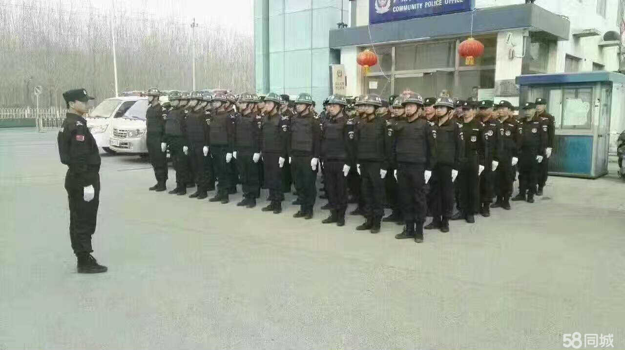 最新保安招聘观点论述与立场分析，行业趋势与人才需求