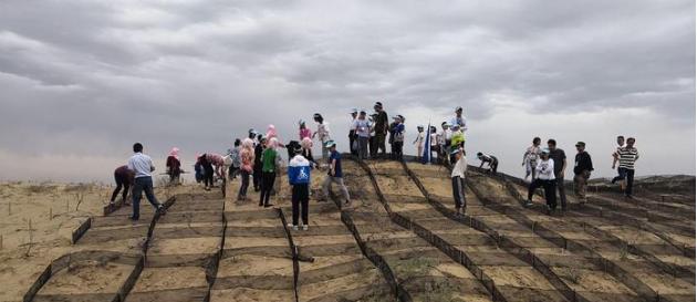 兰州最新案件深度探究与案例分析