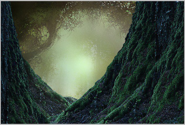 森林最新版探索，小巷中的隐秘瑰宝