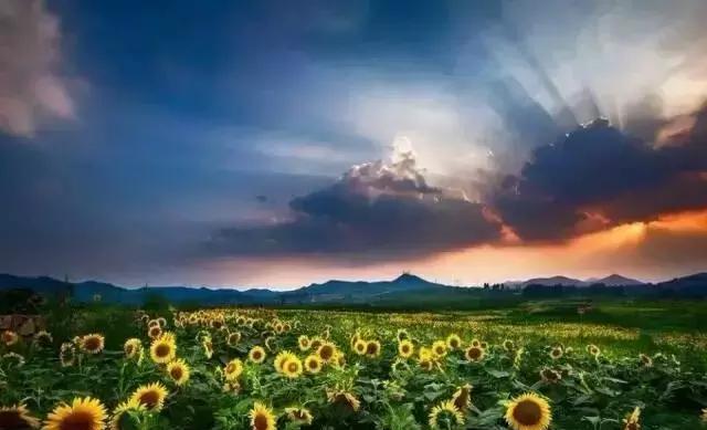 废铝最新价格,与自然美景相遇,探寻内心宁静之旅