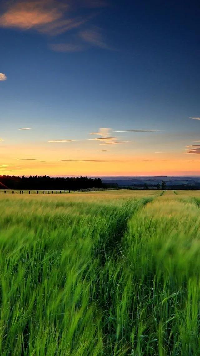 最新壁纸软件,视觉盛宴的深度探讨