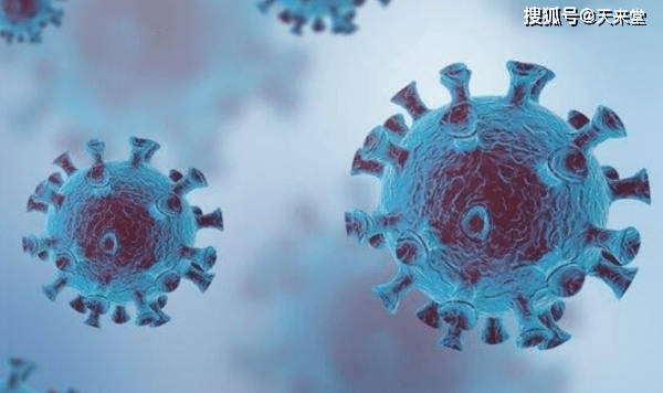 自然美景探索之旅 第13页