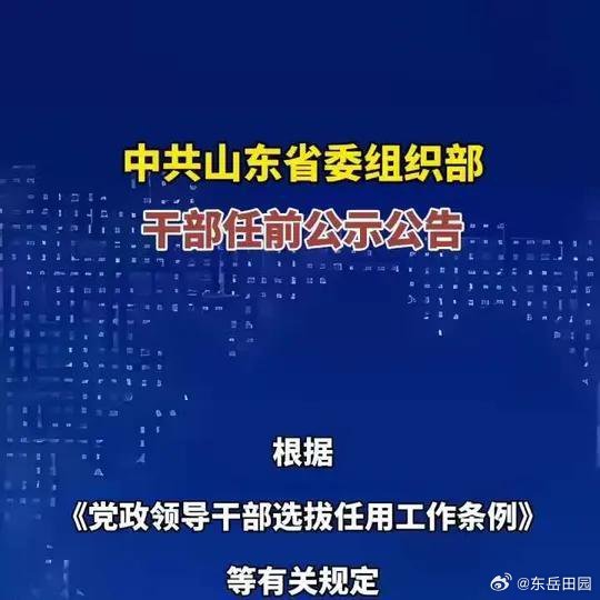 禾辉云文化科技 第385页