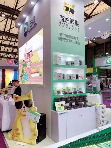 坚果最新系统——拥抱智慧之旅，自信展现科技魅力