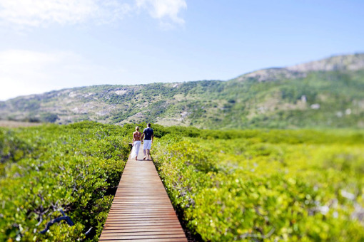 最新英语之旅,探索自然美景,寻觅内心平和