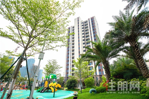 上海禾辉信息 第321页
