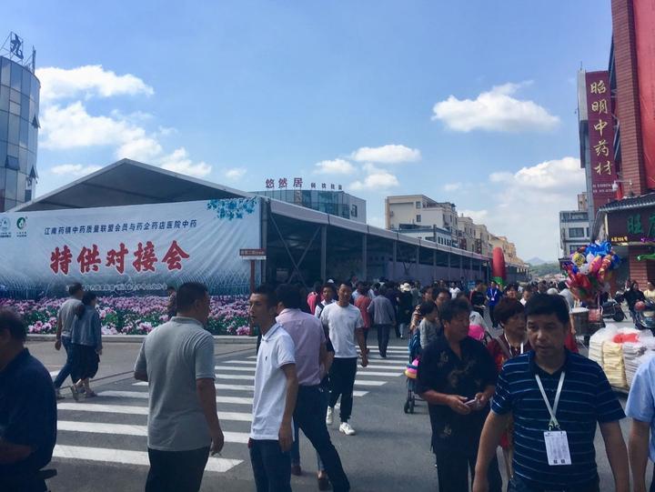 磐安白术最新价格,自然美景下的旅行探索之旅