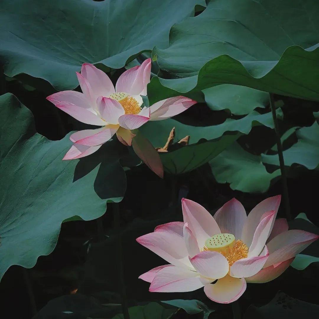 2017最新霸道网名,领略自然美景,开启内心平静之旅