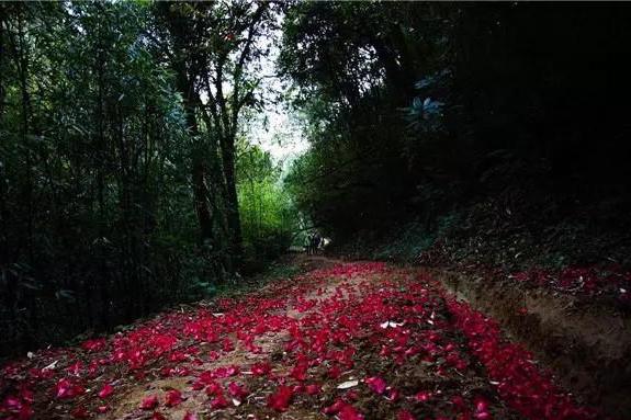 无声的堕落,自然美景中的轻松邂逅