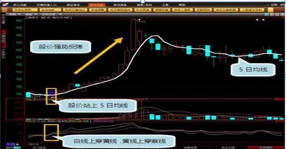 上海禾辉信息 第307页