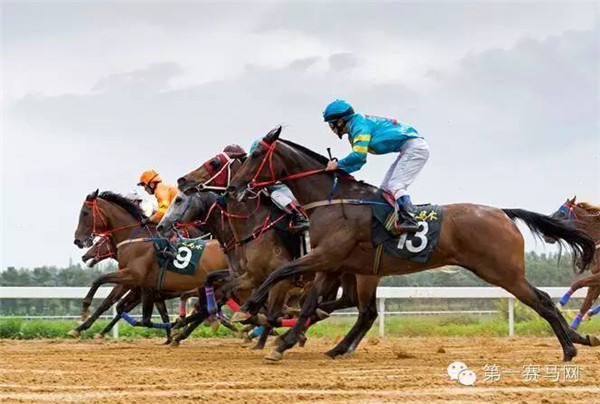 时代变迁与马产业繁荣,2019年买马最新资料解析