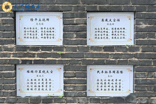 巷弄中的秘密花园,最新章节继续连载,隐藏小巷的特色小店探秘