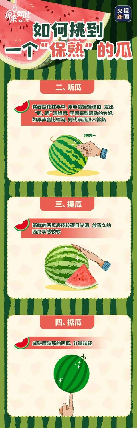 最新吃瓜文件深度解读与观点阐述，一网打尽热门事件内幕揭秘