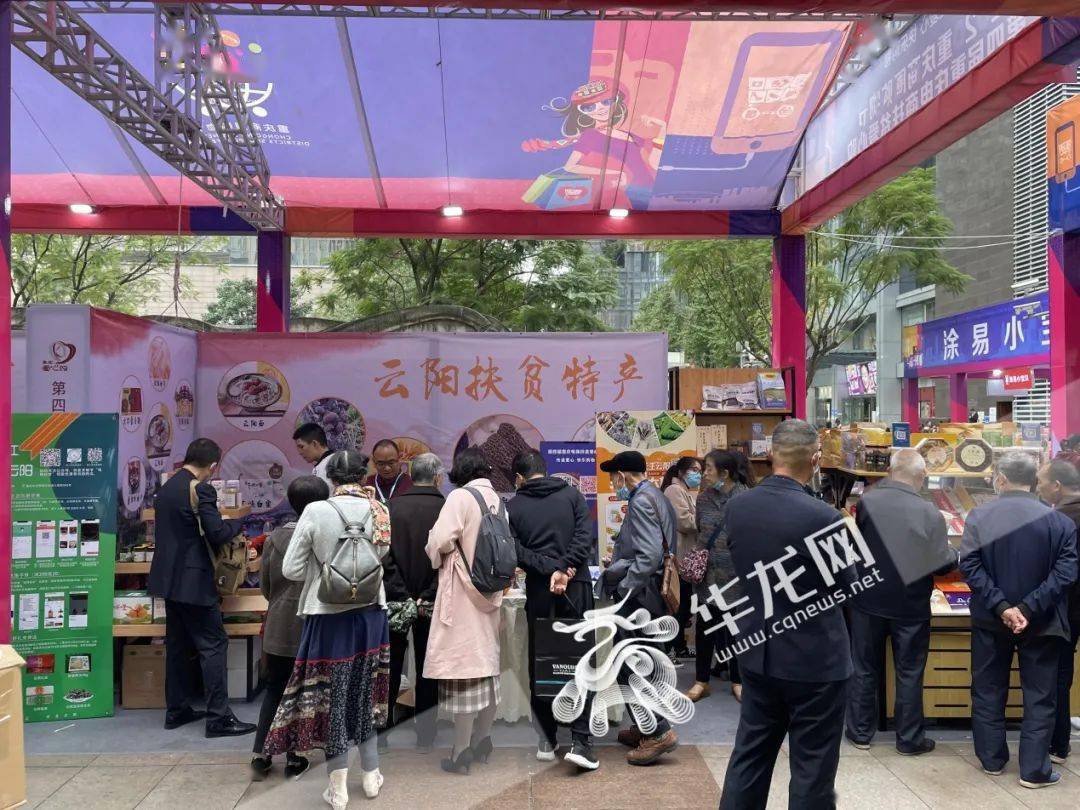 探索隐藏版特色小店,曲摆论坛最新推荐的小巷深处独特风味之旅