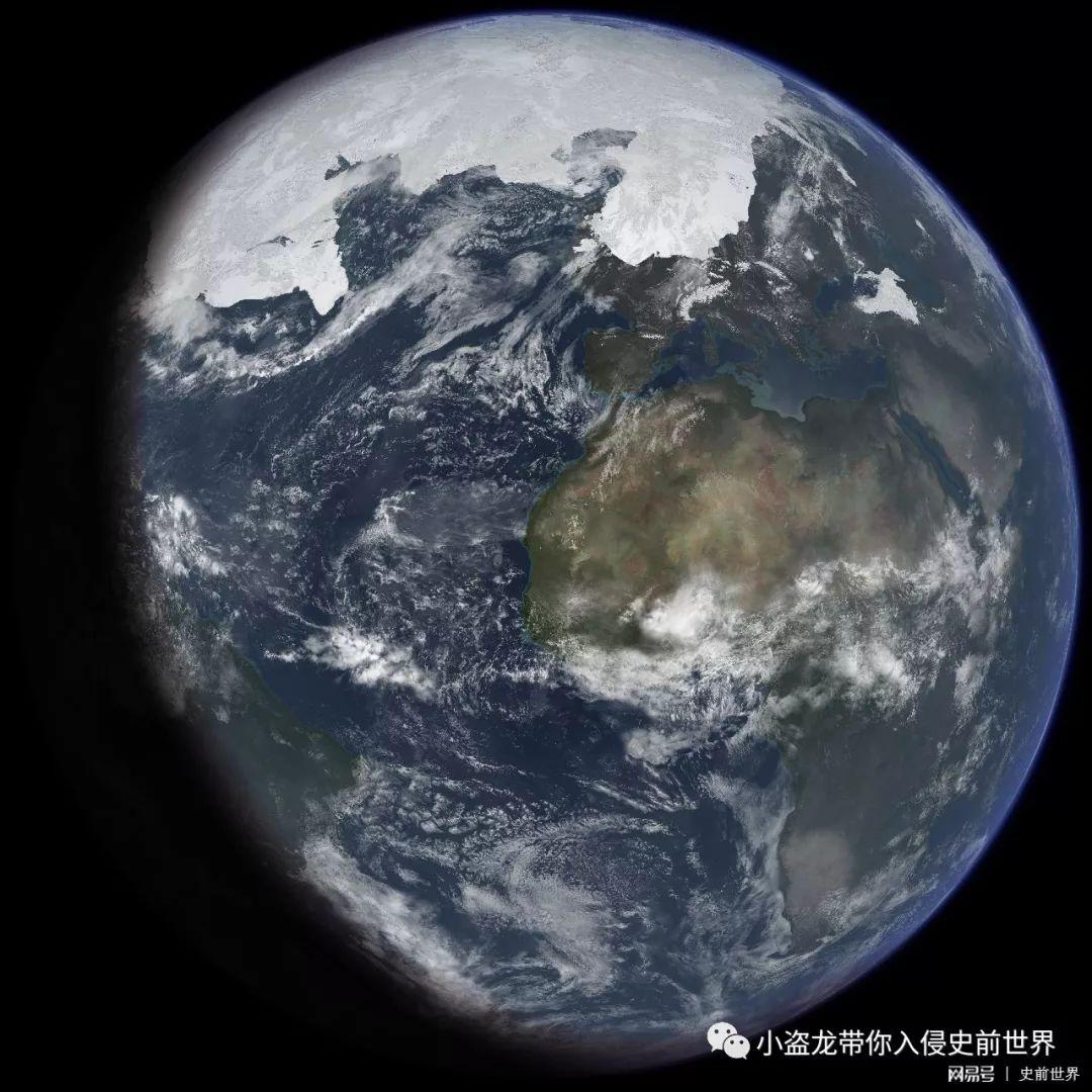 最新电影狼伴深度解析与影评，探寻背后的故事与情感共鸣