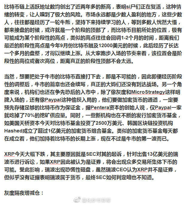 BeeG最新资讯及观点论述概览