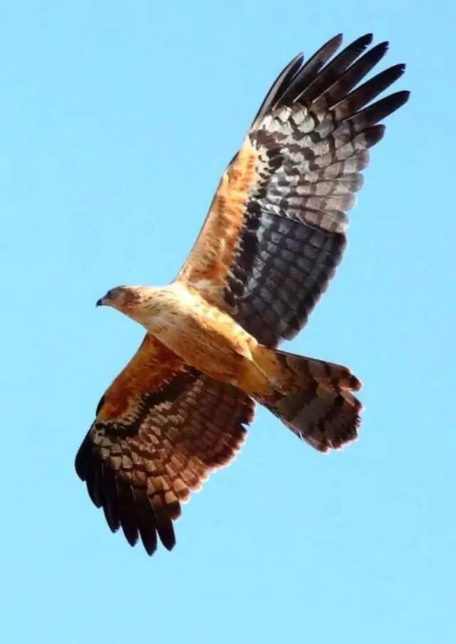 大理祥云最新资讯,学习变化,自信成就未来——祥云展翅翱翔之路