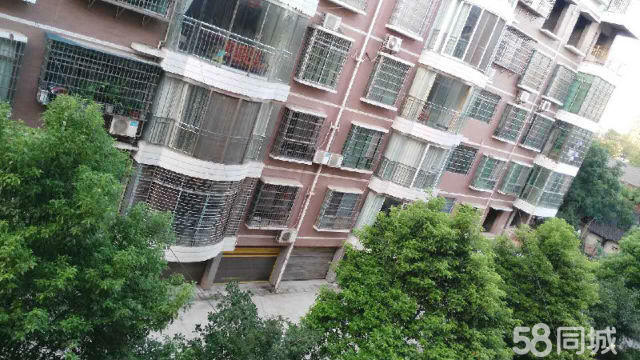 冷水滩新梯楼出售，理想居住之选