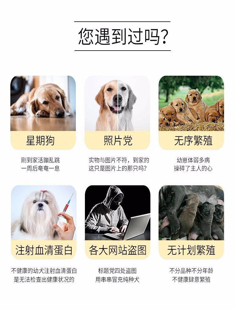 上海禾辉信息 第235页