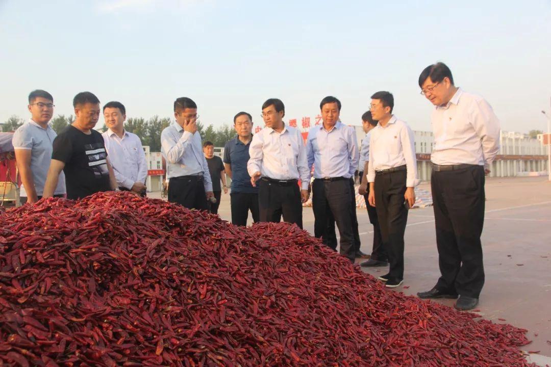 最新热点,拥抱变化,自信成就未来学习之旅