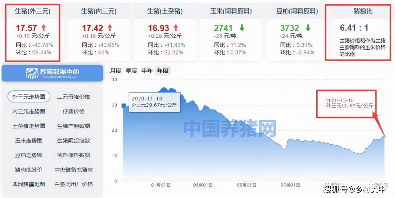 养猪行情走势分析与机遇探寻，学习铸就自信与成就之路