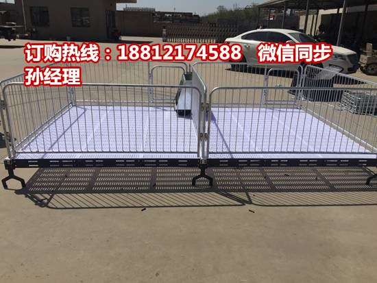 陕西猪价格动态更新，兴旺之兆，家园欢乐满载