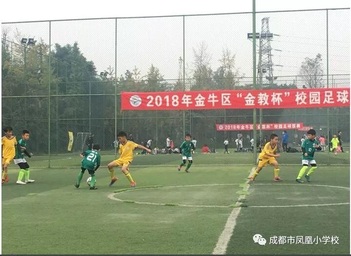 长沙跳马最新动态,跃动梦想,自信塑造未来