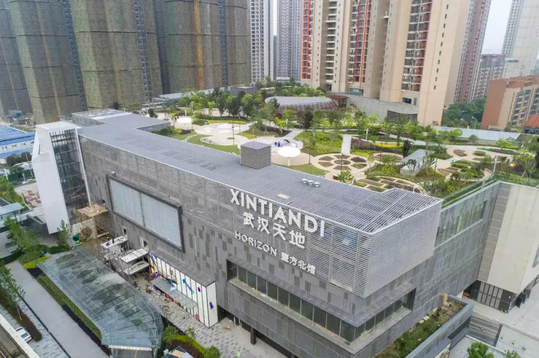 瑞安轻轨最新动态,影响及观点分析