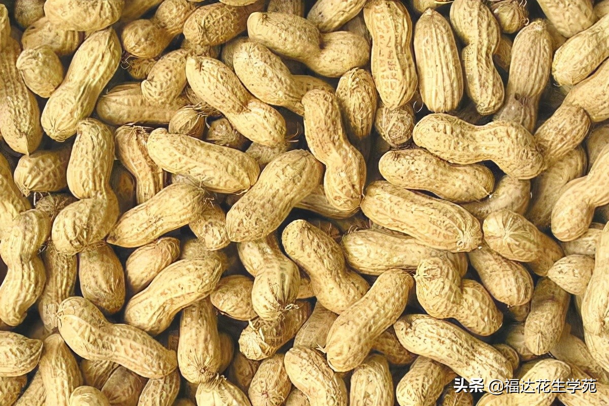 落户咨询 第71页
