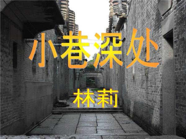 巷弄深处的隐藏瑰宝，最新废柴视频探索特色小店之旅