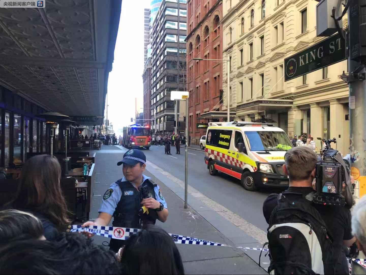 悉尼城市温情日常趣事最新报道