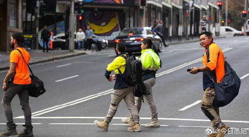 悉尼城市温情日常趣事最新报道
