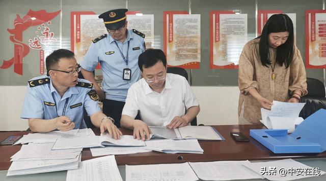 蚌埠市执法局局长任务完成与技能学习指南,新任局长上任必读手册