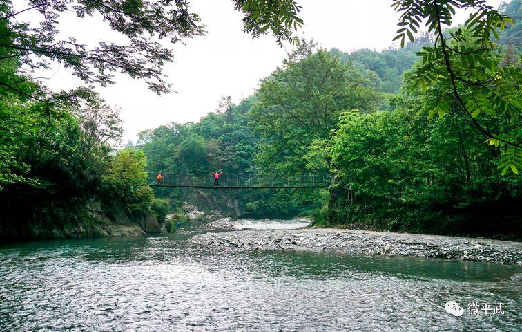 猪来了最新版本2.8.6.7,自然美景的心灵之旅