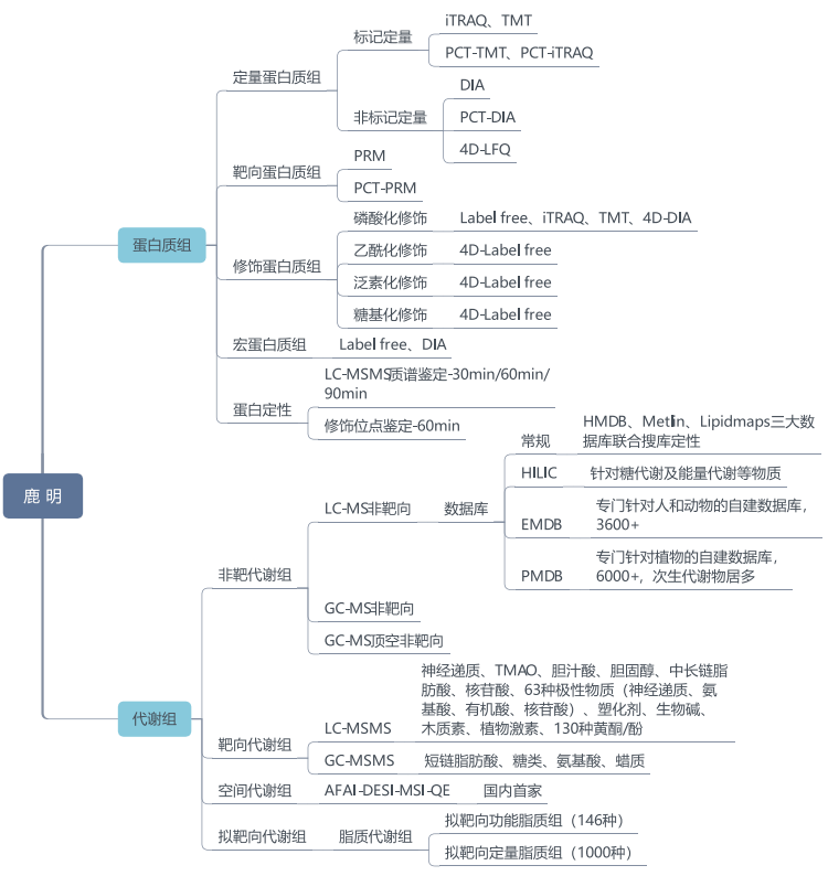 一站式落户 第11页