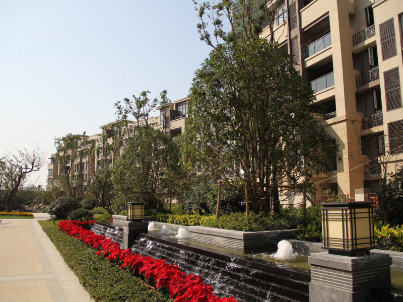 国信世家璞园,小巷中的隐藏宝藏,最新动态与独特特色探索