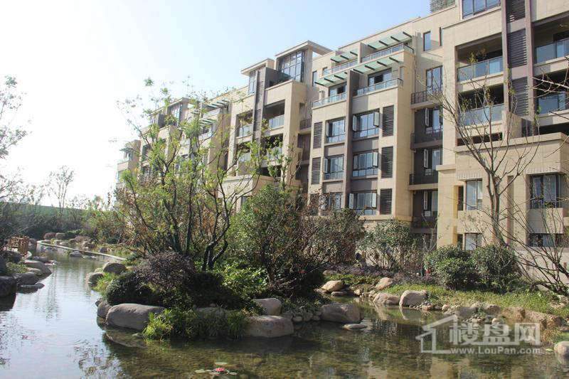 国信世家璞园,小巷中的隐藏宝藏,最新动态与独特特色探索